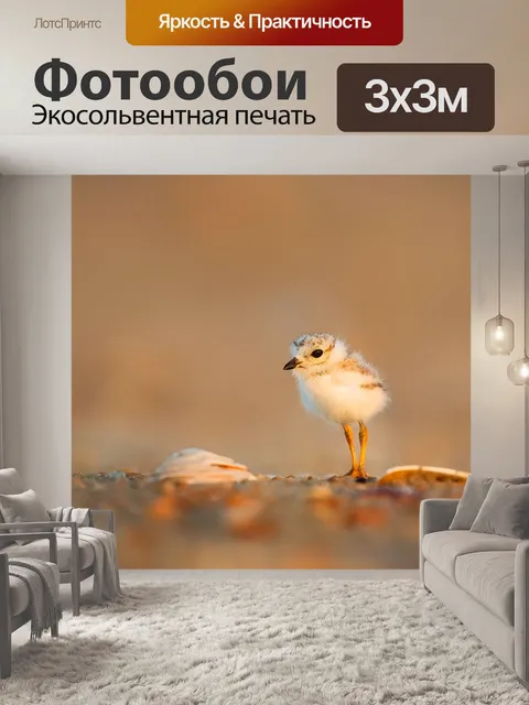 Фотообои Птица