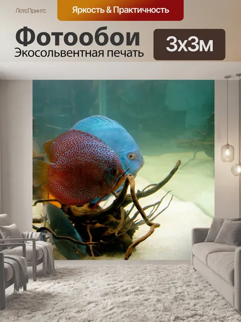 Фотообои Дискус