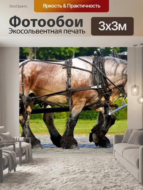 Фотообои Рабочие лошадки