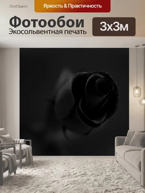 Фотообои черная роза