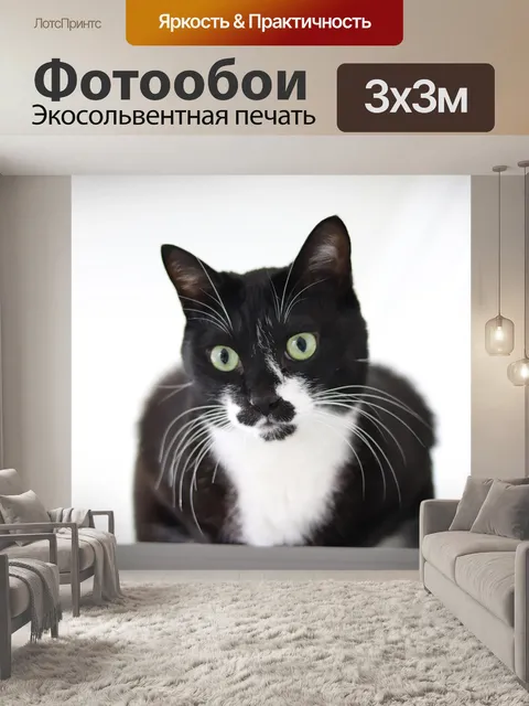 Фотообои Кошачьи глаза