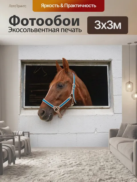 Фотообои Амишская лошадь в белом сарае