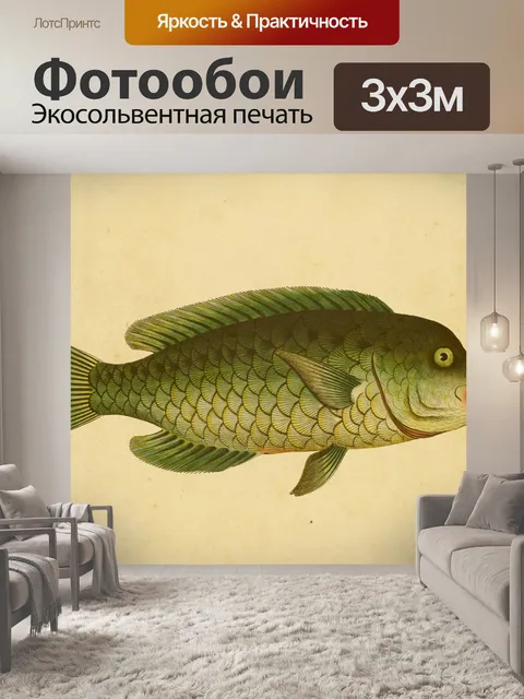 Фотообои Рыба-попугай Vintage Art