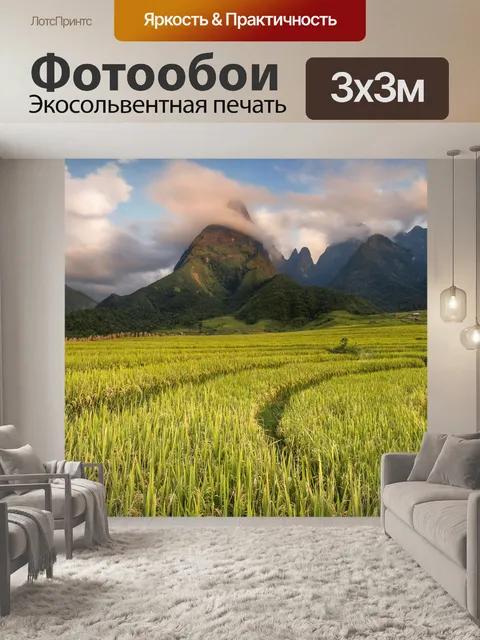 Фотообои Рисовые поля