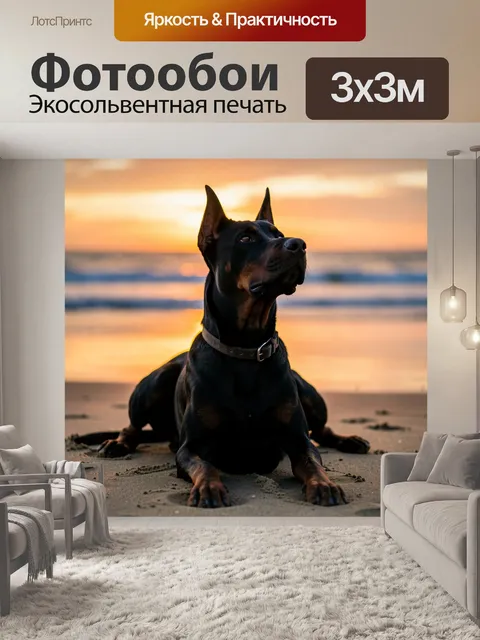 Фотообои Доберман на пляже на закате