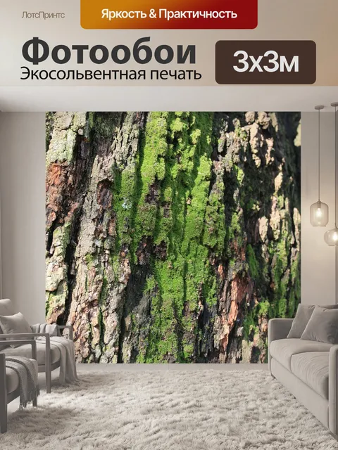 Фотообои Кора зеленым мхом
