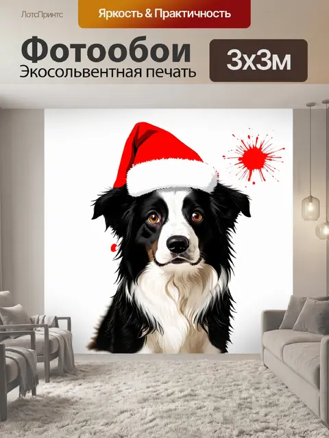 Фотообои Собака породы бордер-колли в красном рождественском колпаке с белым помпоном