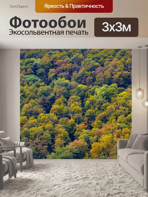 Фотообои Лес