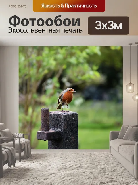 Фотообои Робин