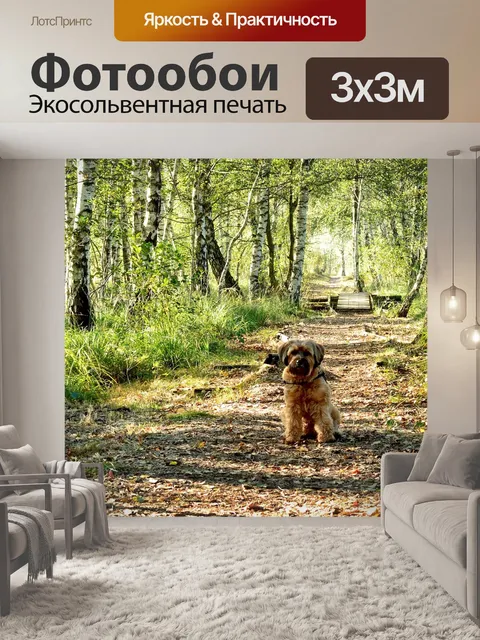 Фотообои Березы