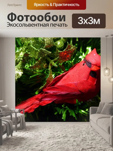 Фотообои Красный кардинал елку