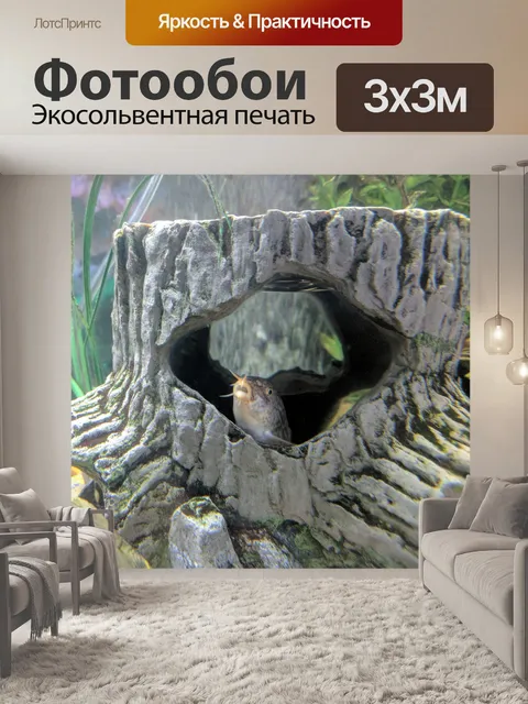 Фотообои аквариумных рыбок