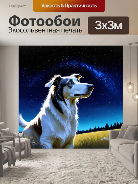 Фотообои борзая, рассматривающая звезды на ночь, создавая ощущение умиротворения и связи с небом