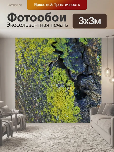 Фотообои мхи и лишайники на стволе дерева 1