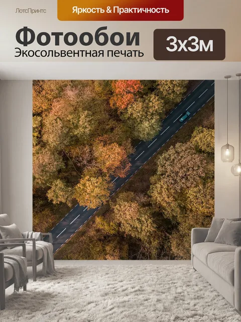 Фотообои Путь