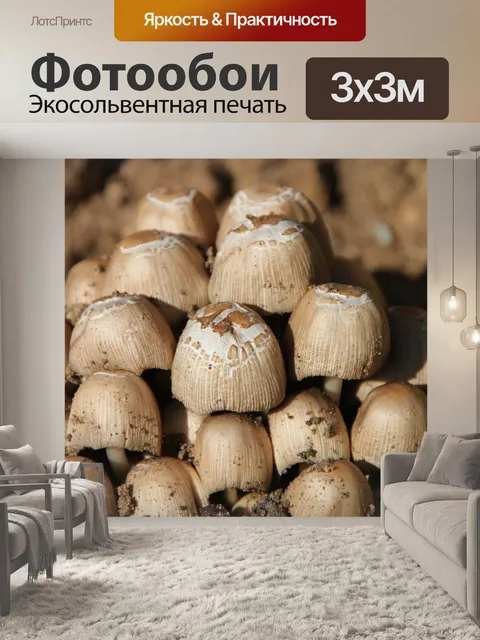 Фотообои Кластеров