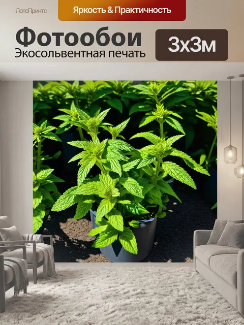 Фотообои мятный цвет создают картину пряного сада с мятными растениями, где аромат трав окутывает все вокруг