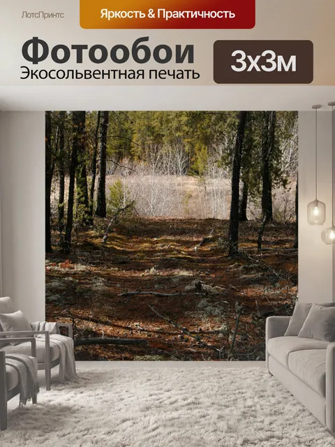 Фотообои Тропа лесная тропинка