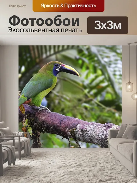 Фотообои Изумрудный туканет