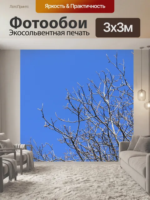 Фотообои Небо