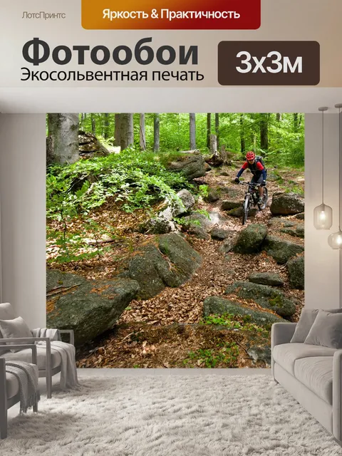 Фотообои Велосипедист