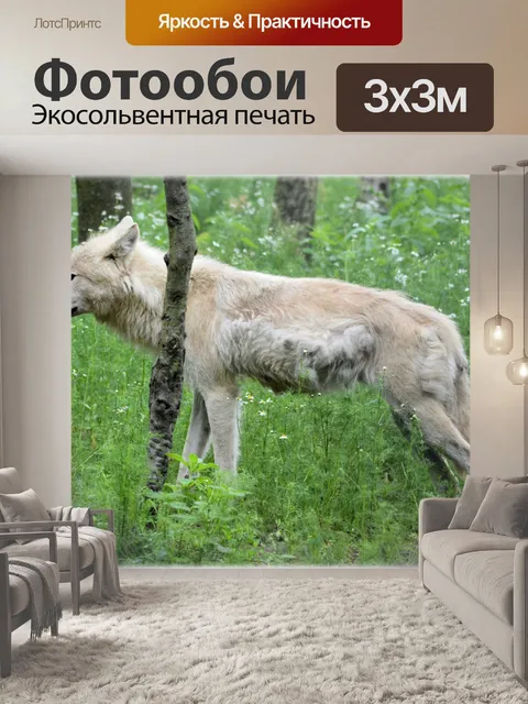 Фотообои Волк 01