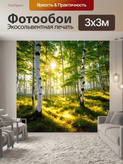 Фотообои сказочный лес с березами и солнечными лучами