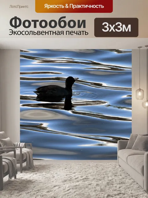 Фотообои Кут в профиле воды