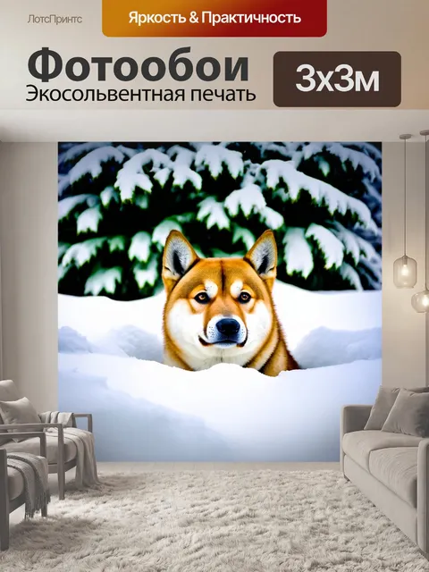 Фотообои сиба-ину, прячущаяся за снежными сугробами, с явным выражением любопытства
