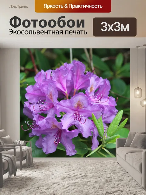 Фотообои Рододендрон