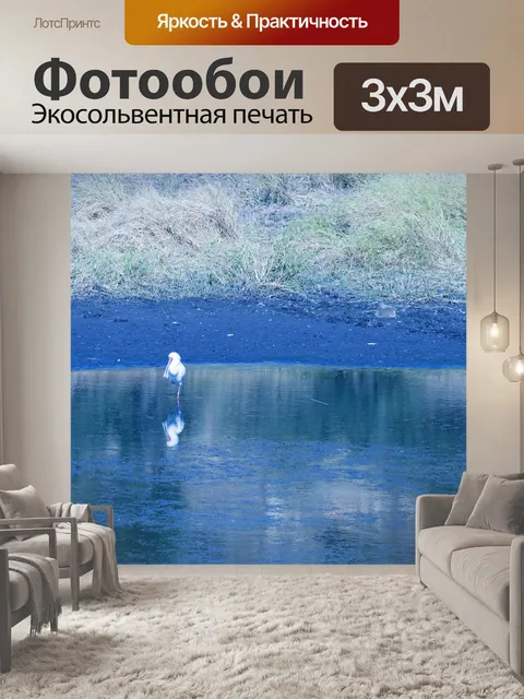 Фотообои Белая африканская колпица в воде