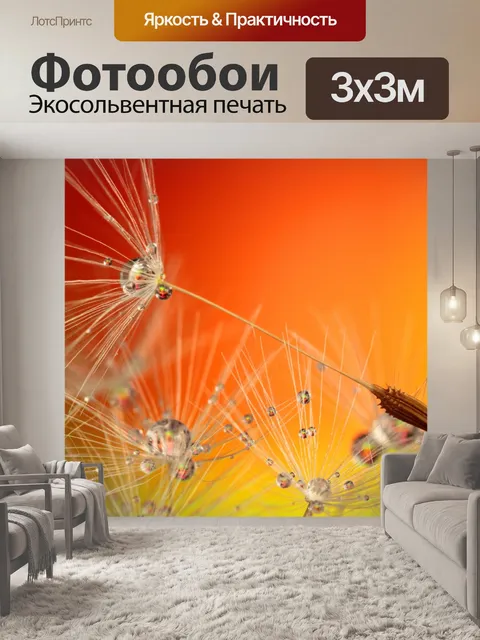 Фотообои Капли росы одуванчика