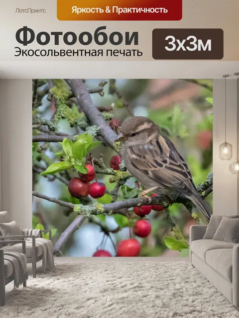 Фотообои Воробей