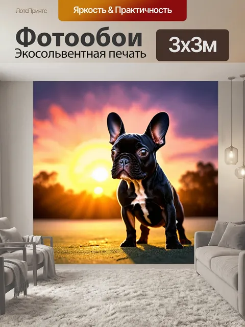 Фотообои сцена с французским бульдогом