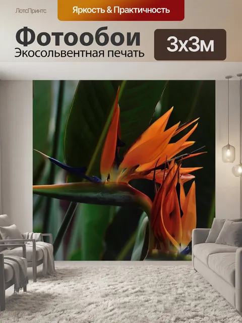 Фотообои Райская птица