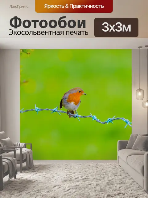 Фотообои животное