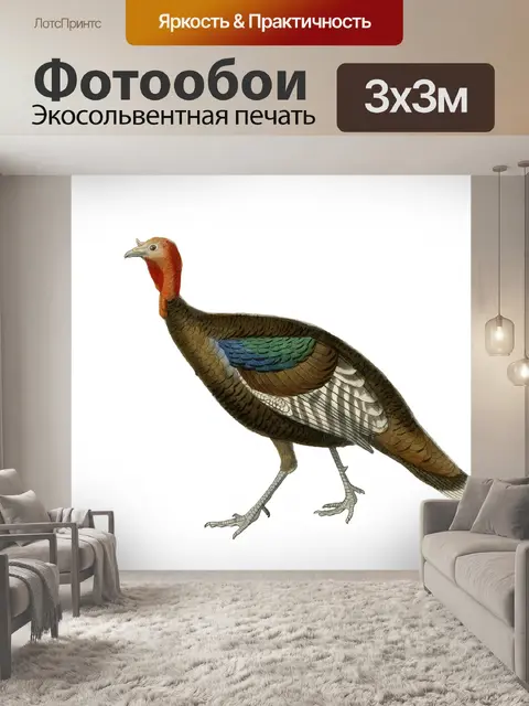Фотообои Турция Винтаж Иллюстрация