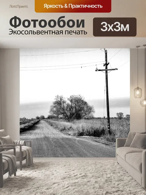 Фотообои Проселочная дорога