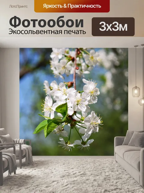 Фотообои Цветение вишни