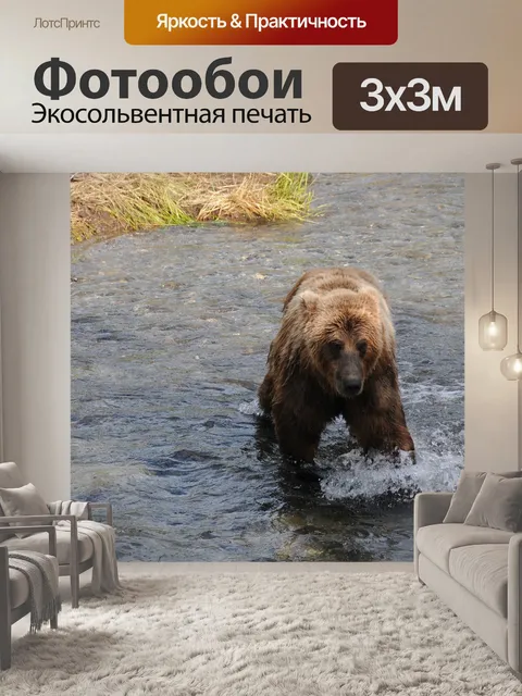 Фотообои Бурый медведь