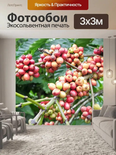 Фотообои Кофейное зерно