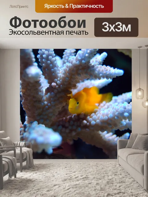 Фотообои Коралл