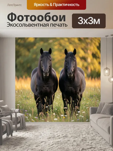 Фотообои Две лошади на лугу