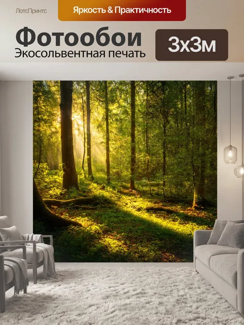 Фотообои лес с утренним светом, пробивающимся через листву и освещающим поляну