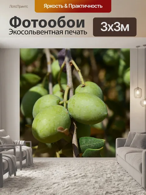 Фотообои Оливки