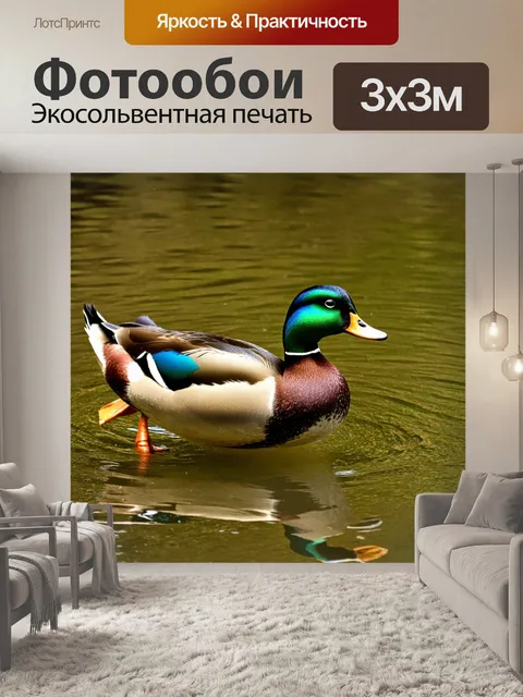 Фотообои утка с яркими перьями, ныряющая в прозрачные воды реки, с солнечными лучами, пробивающимися сквозь листву