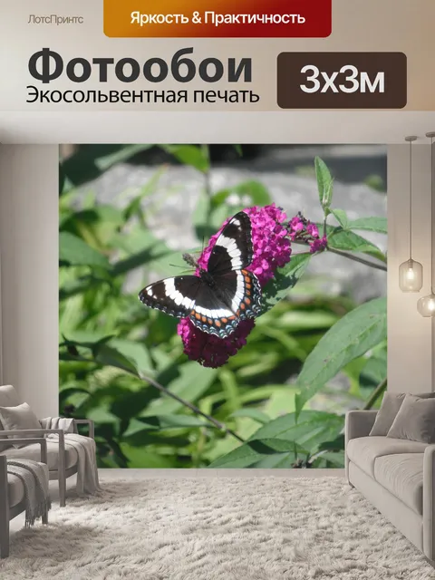 Фотообои Бабочка на листе