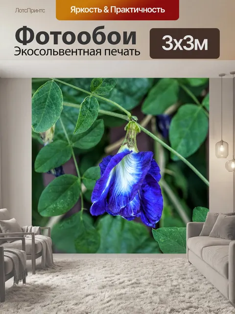 Фотообои Синий горошек