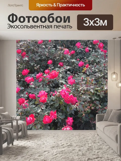 Фотообои Красный Нокаут розы