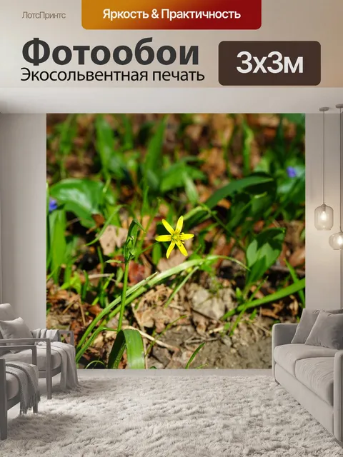 Фотообои Лес желтая звезда